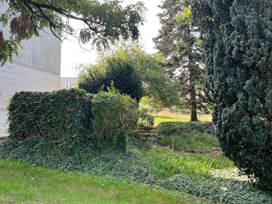 Gites Maisons De Champagnes Reims Buitenkant foto